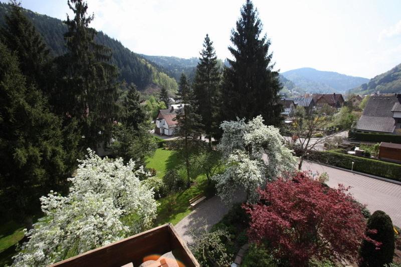 Hotel Garni Cafe Schacher Oberwolfach Экстерьер фото