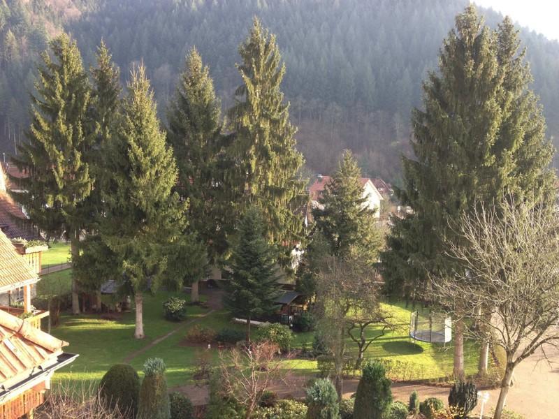 Hotel Garni Cafe Schacher Oberwolfach Экстерьер фото